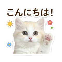 Uchan_20260509132509