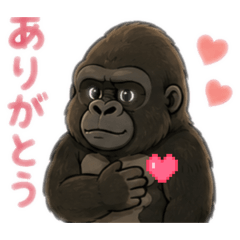 tarou20260508