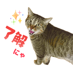 Guuyasu_20260509133540