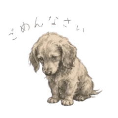 Soft Sketch Dachshund Pack