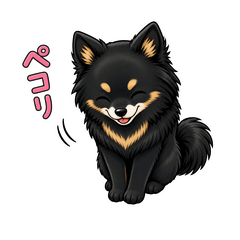 Completed with a black Pome Shiba!