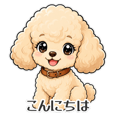 My toy poodle woman
