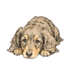 Watercolor Dachshund Puppy (No Text)