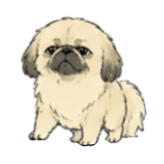Suncrop 066 Pekingese