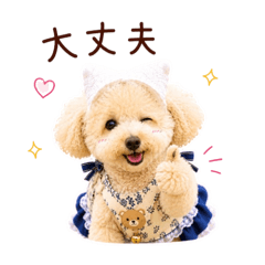 ichinichiichan