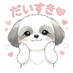 Suzu the Shih Tzu - Daily Life