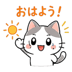 The Kitty-cats
