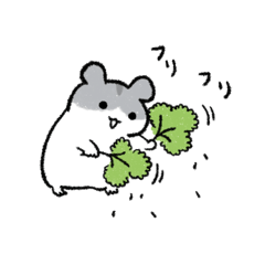 パセリふりかけハムスター