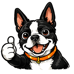 George the Boston Terrier