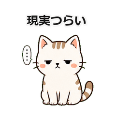 Grumpy Stray Cat Series 3