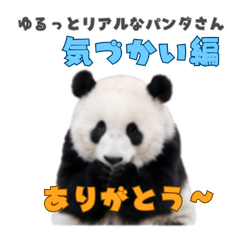 Soft Real Panda - Caring Stickers