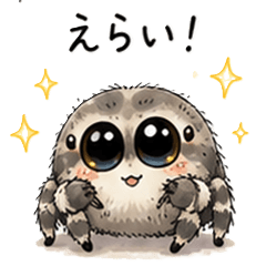 Sensitive Jumping Spider