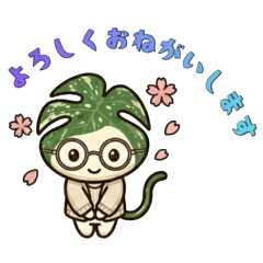 Life with Monstera 7