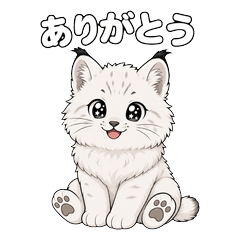 Ak Arurin the White Kitten