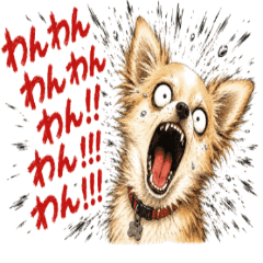 Chihuahua Emotion Stickers NanoLife
