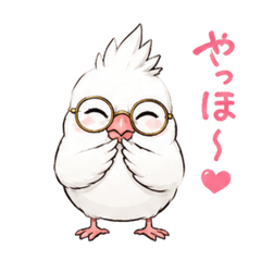 Daily life of a cute white Java sparrow