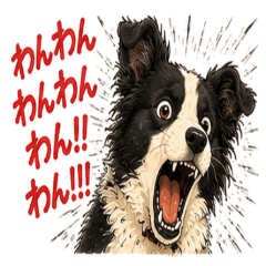 Border Collie Emotion Stickers NanoLife