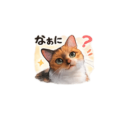 Hana the cat's daily life