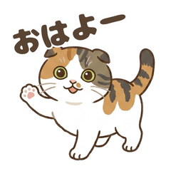 Calico Cat Life Stickers