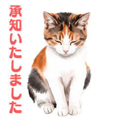 Classy & Cute Calico: Cozy Daily Life