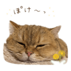 Kay_20260509132258