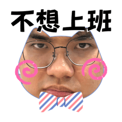 是誰的小肥肚貓咪啊！