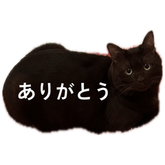 Shi_20260509134427