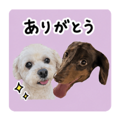Noa_20260509135534
