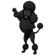 Standard Poodle's Daily Life (Black)
