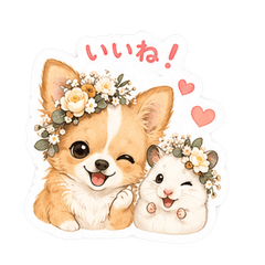 Kawaii Chihuahua & Hamster