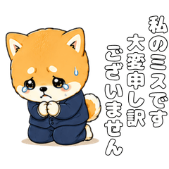 Ultra Cute Shiba Inu [Business Talk 5]