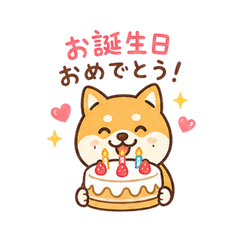 Cute Shiba Birthday & Daily Stickers