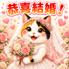 三花母貓祝福貼圖
