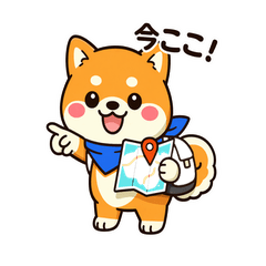 Shiba Inu (sightseeing)