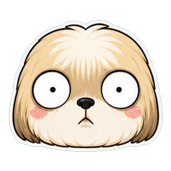 西施犬 顏微妙 1