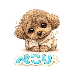 Edy_20260509134511