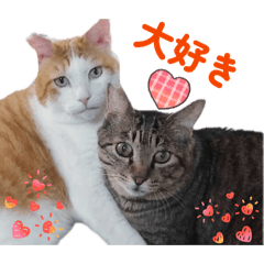 Yukie_20260509135901