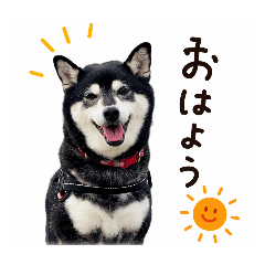 makimaruko