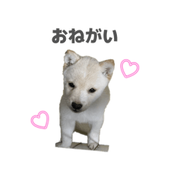 nanami_20260509140128