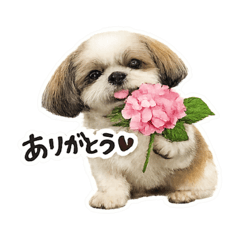 yururin_20260509140309
