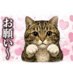suzuran_20260509140256
