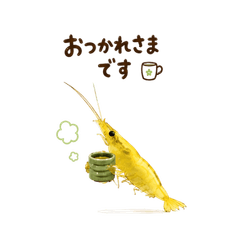 cute yellow shrimp
