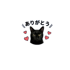 KURONECO Sticker