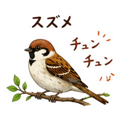 Bird Calls & Names
