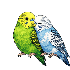 Two budgies with various emotions