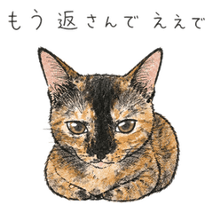 Yohaku Tortoiseshell Cat: Tired Days