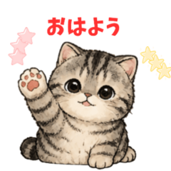 Nemuneko Biyori | Daily Life Edition