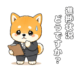Ultra Cute Shiba Inu [Business Talk 6]