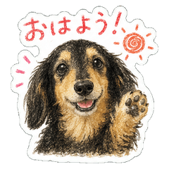 Sakura-chan Mini Dachshund Stickers