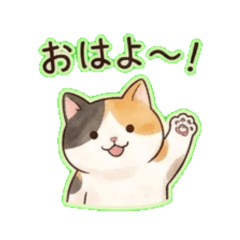 churapi Lovely cat